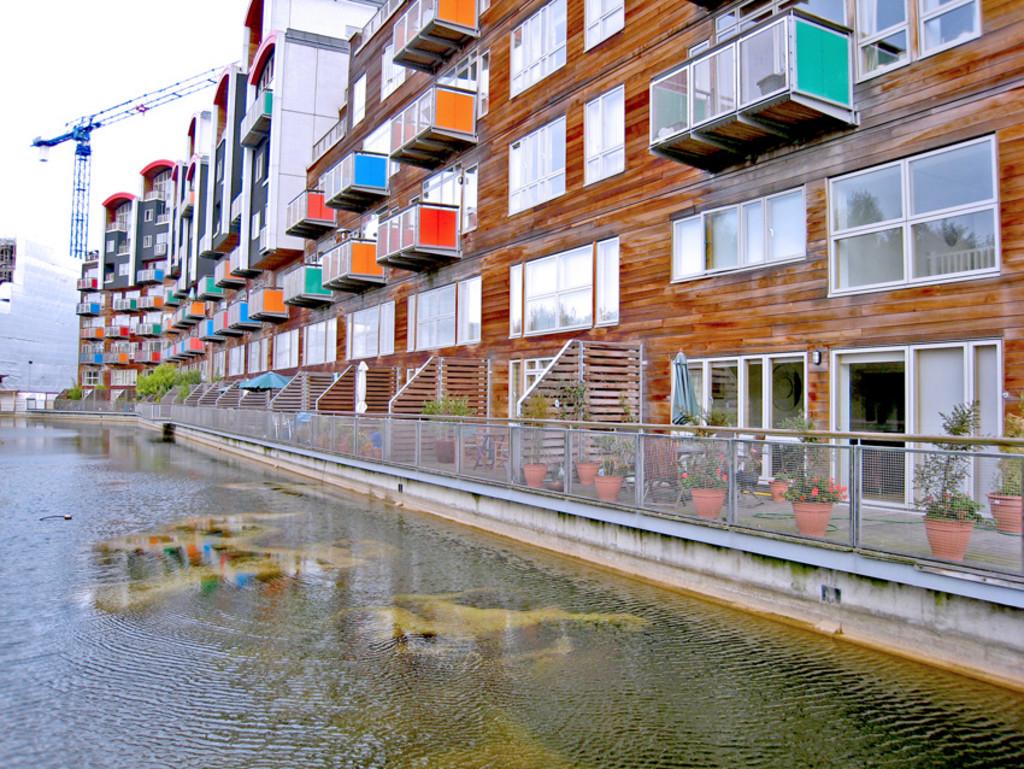 Millenium Village