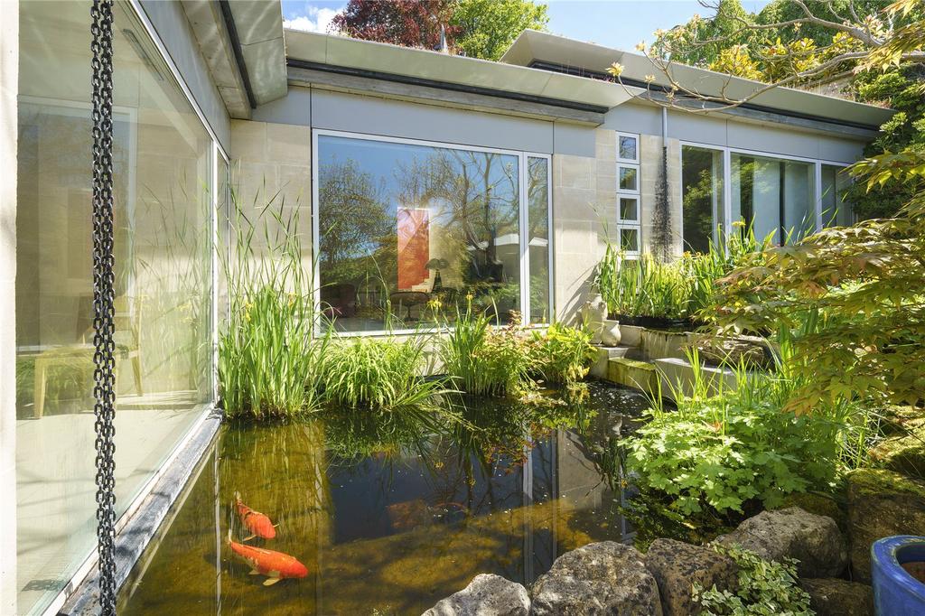 Feature Pond