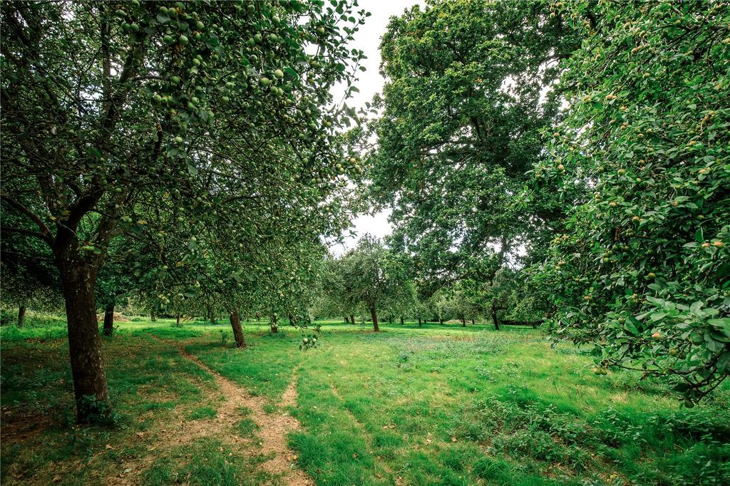 Orchards