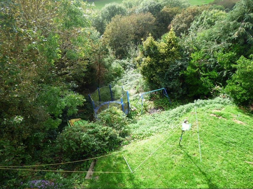 Garden1.jpg