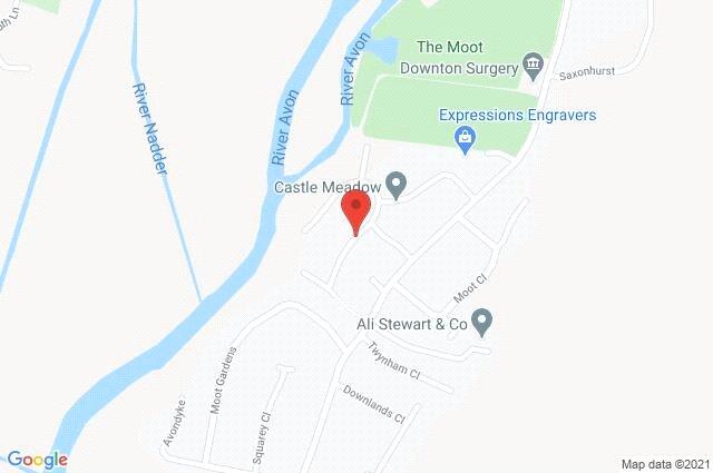Google Maps Image