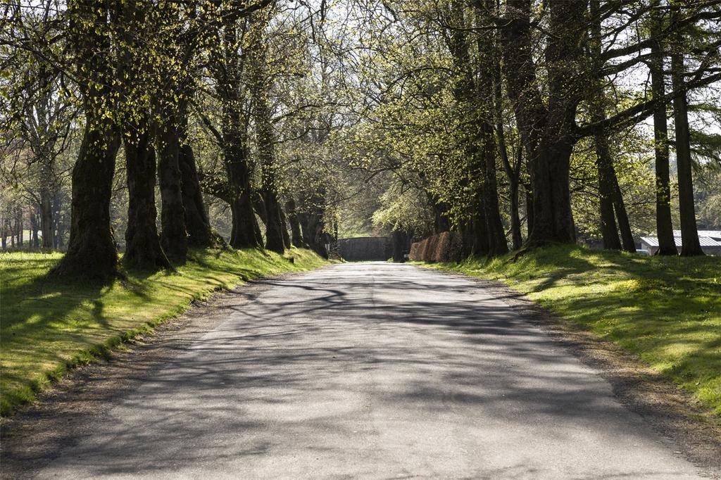 Rowallan Drive
