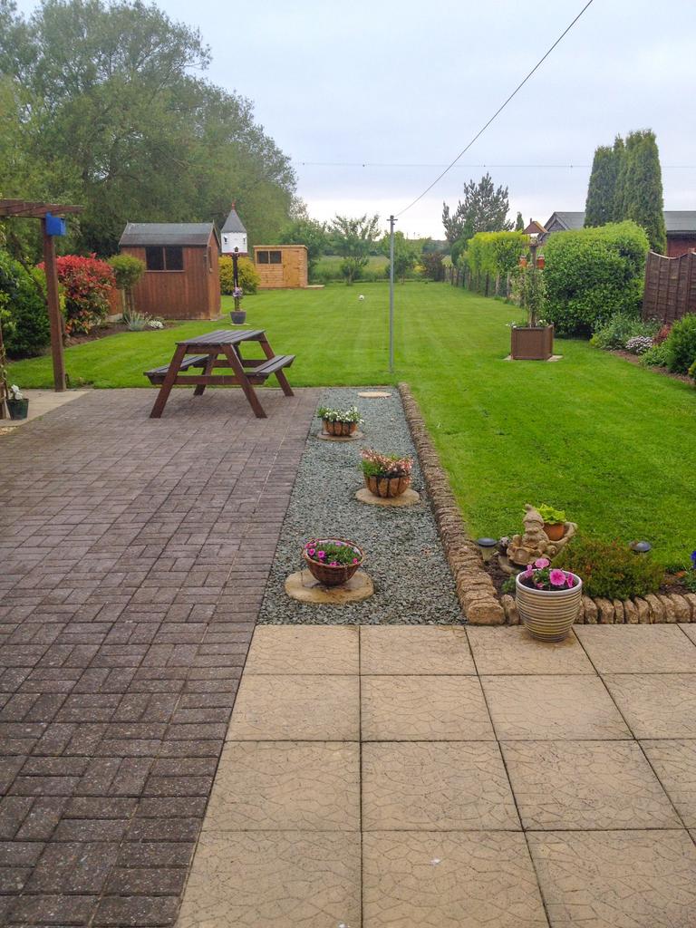 Rear garden in summer