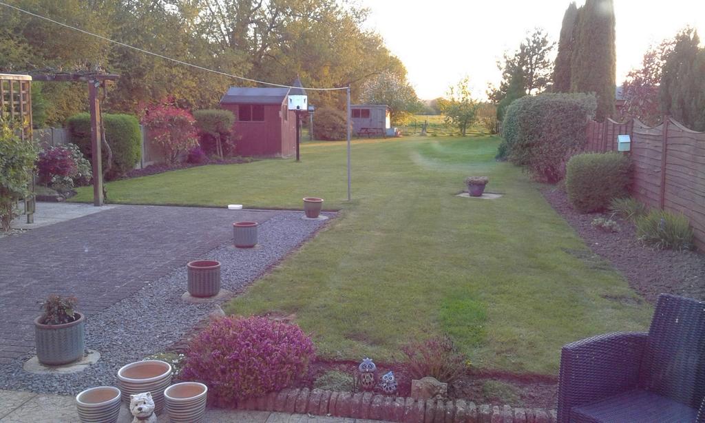 Rear garden in summer