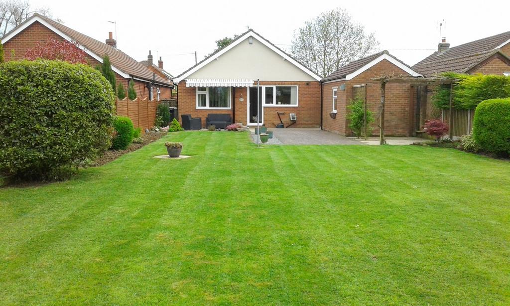 Rear garden in summer