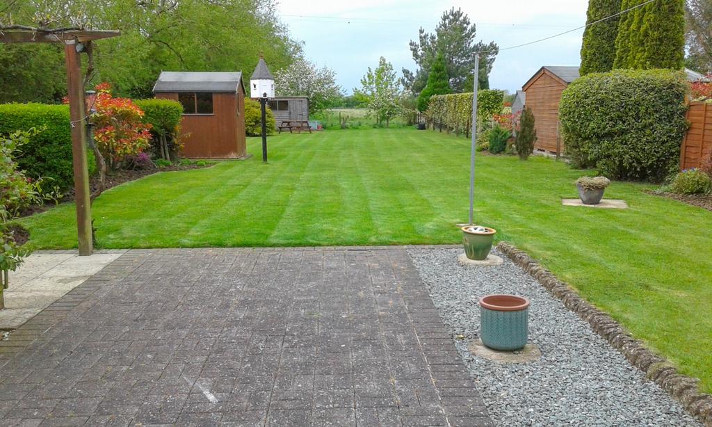 Rear garden in summer