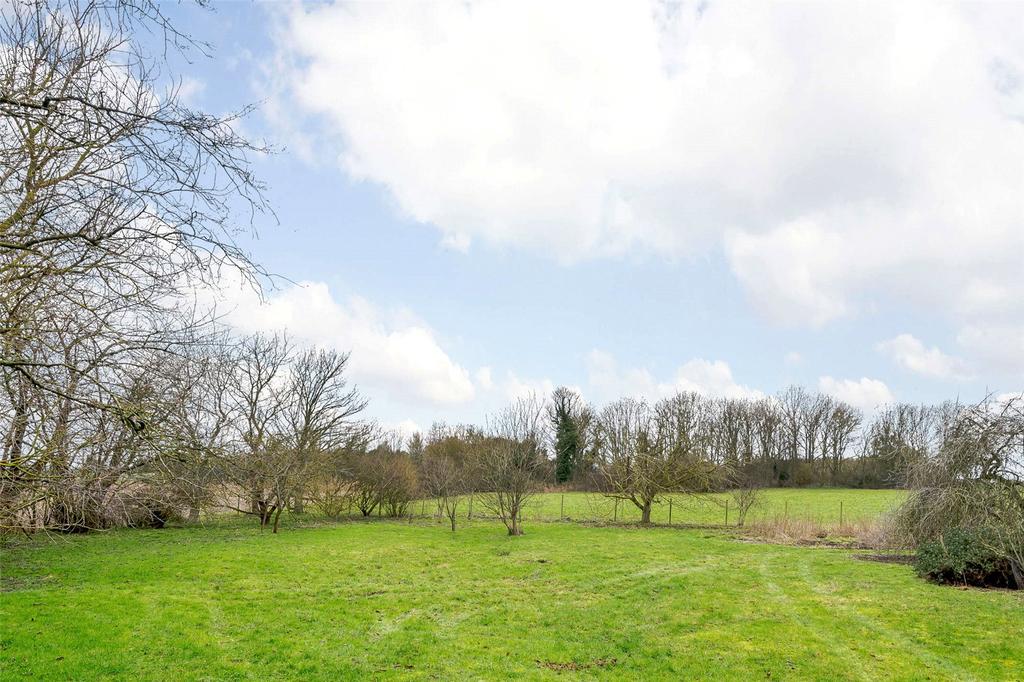 Grounds