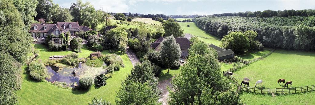 Aerial Shot