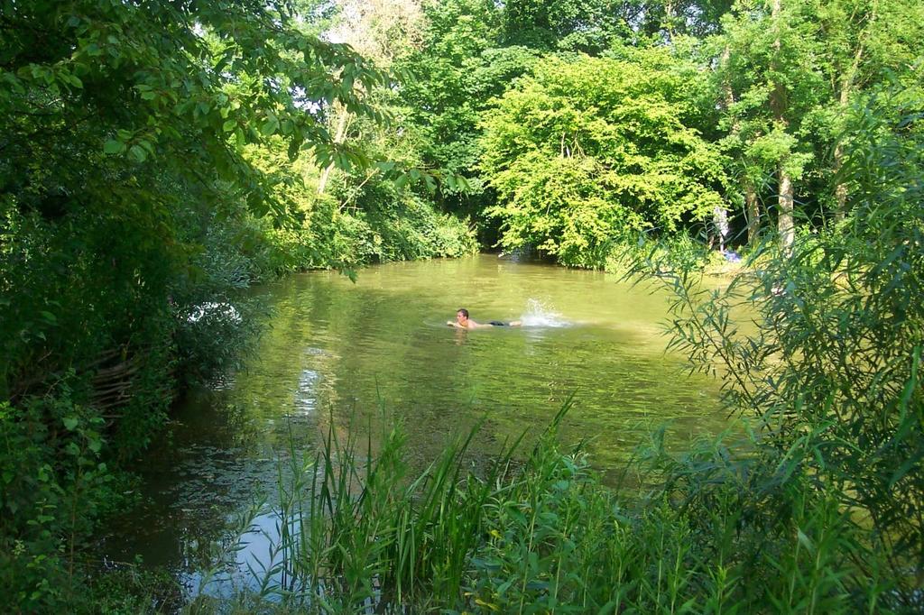 Summer Pond Shot