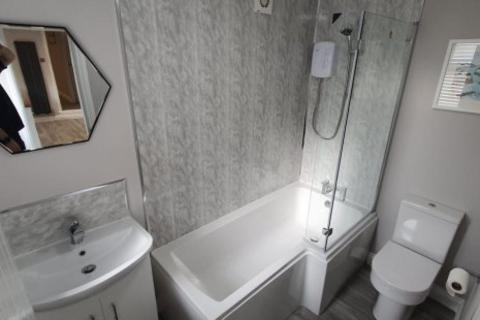4 bedroom house share to rent - Hardy