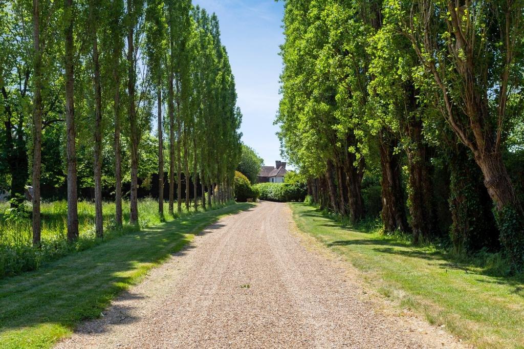Tree Lined Driveway