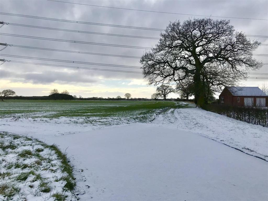 Local area