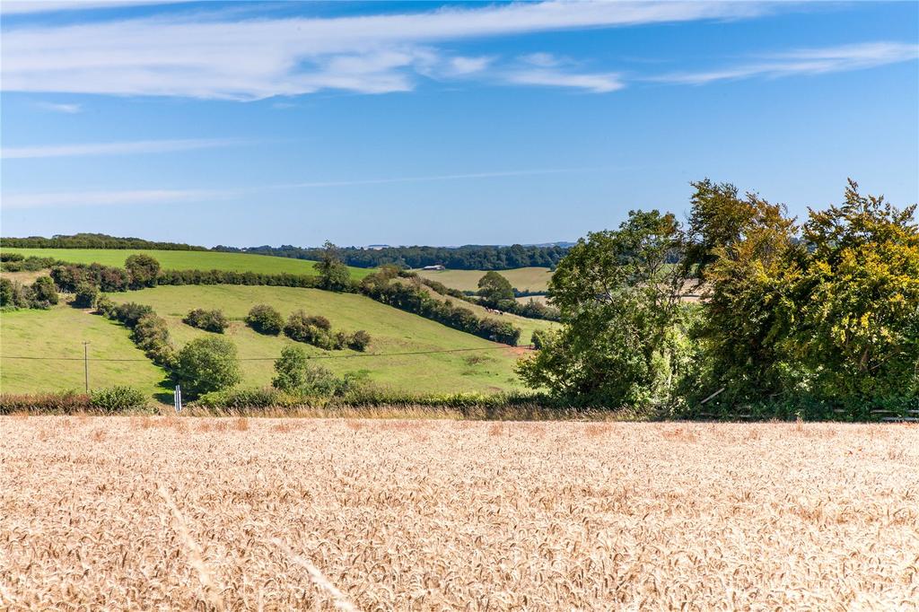 Countryside Views
