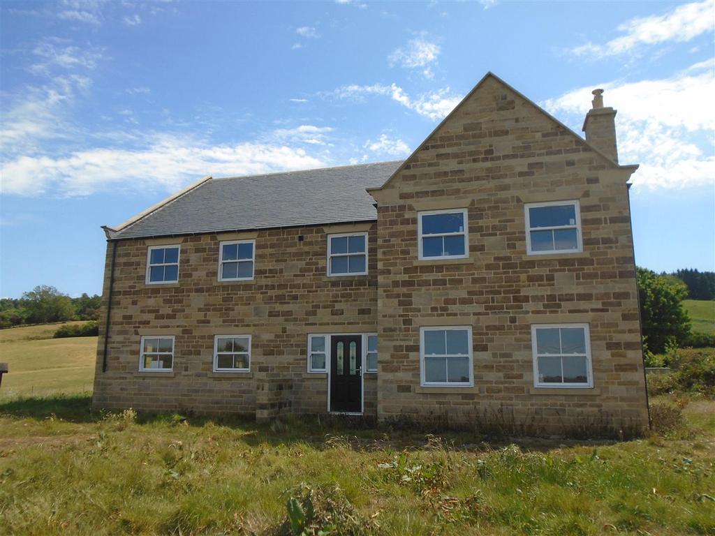 Front1.JPG