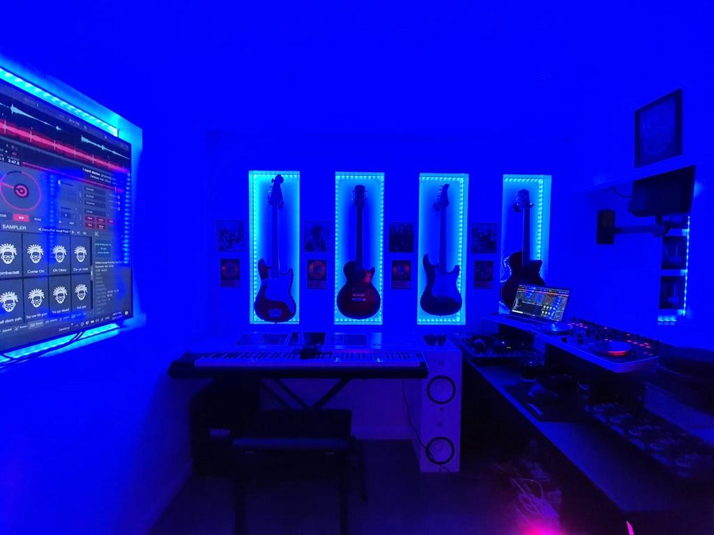 Cinema/Music Room