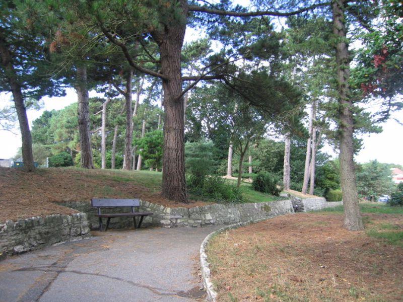 Photo 14