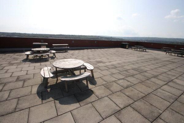 Roof Top