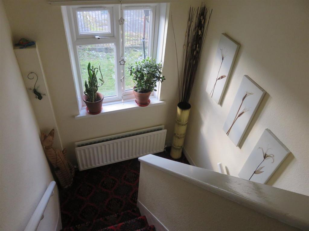 Img 4795.jpg