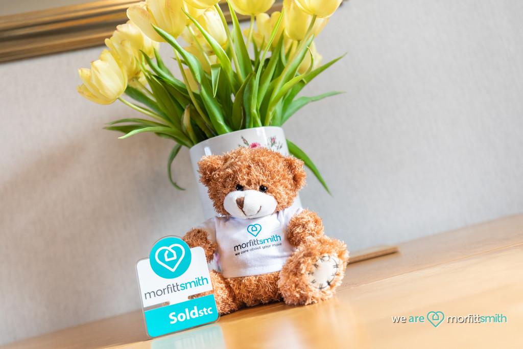 Smiffy Bear