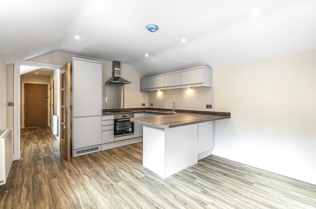 Kitchen/Living Room