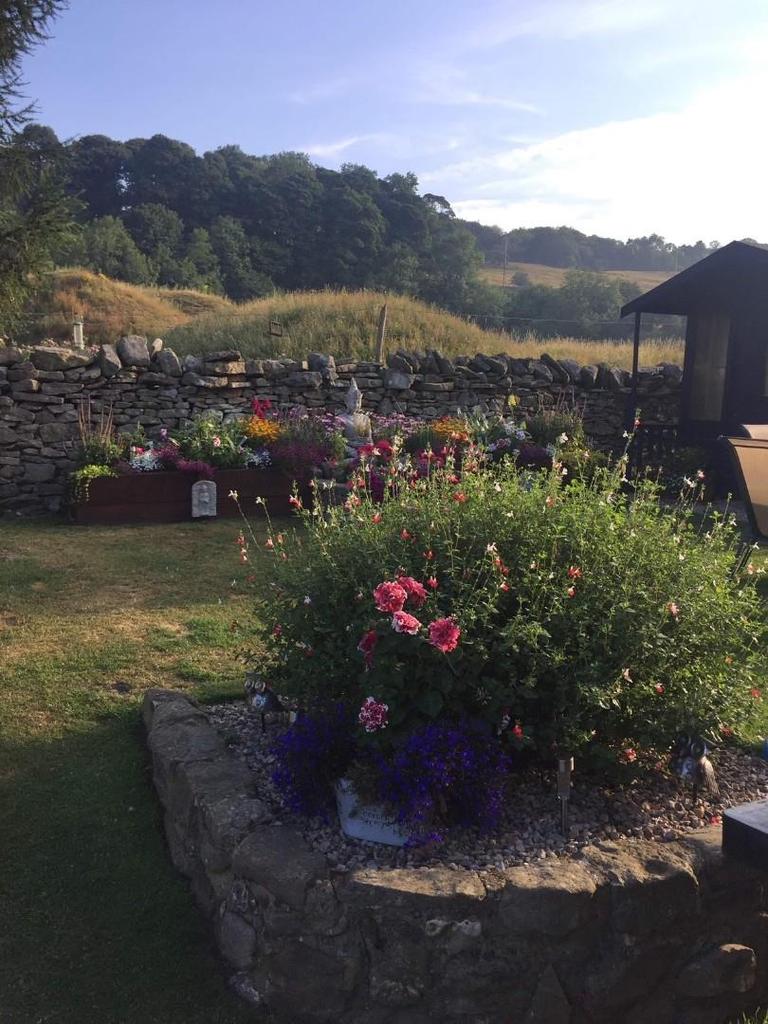 Garden.jpg