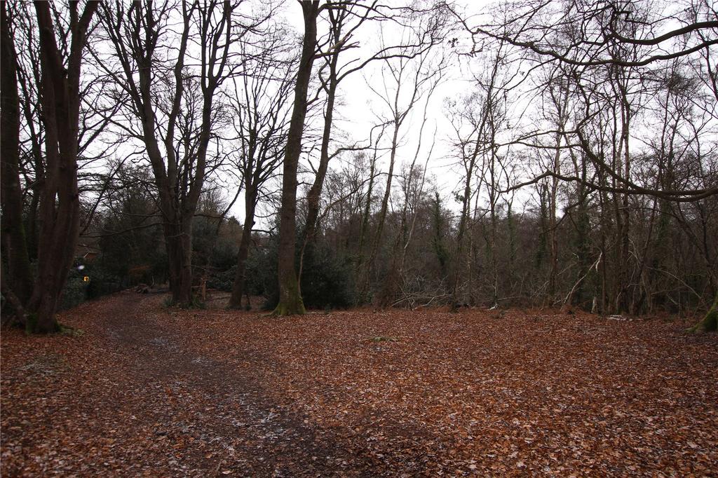 Ampfield, Romsey, Straight Mile, Hampshire, SO51 Land £100,000