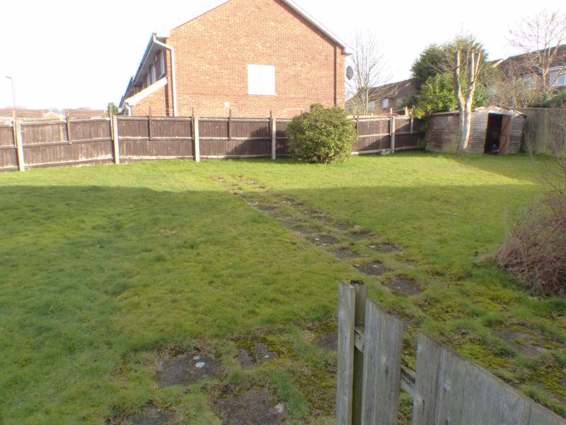 Garden 1