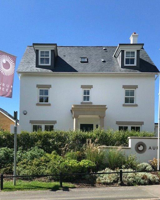 Show Home